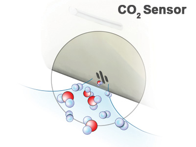 Active Ventilation